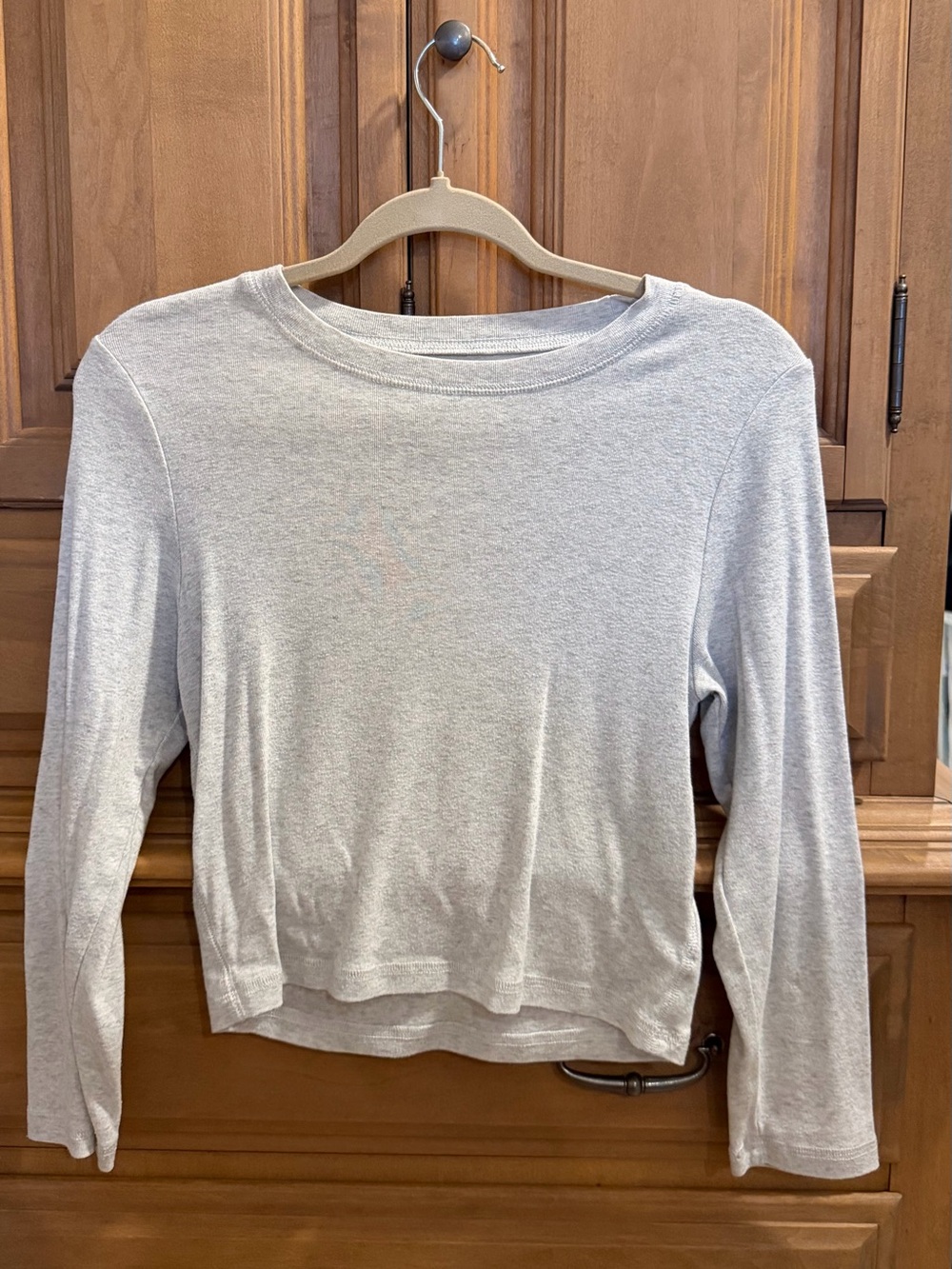 American Eagle Cropped Long Sleeve